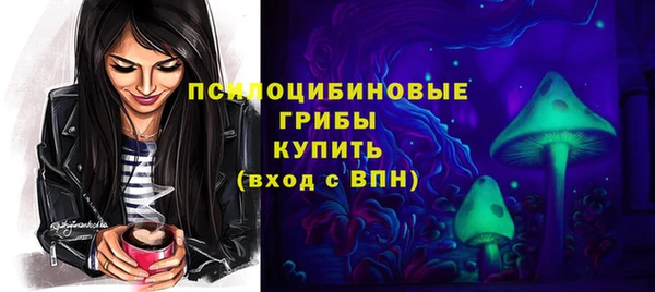 СК Алексеевка