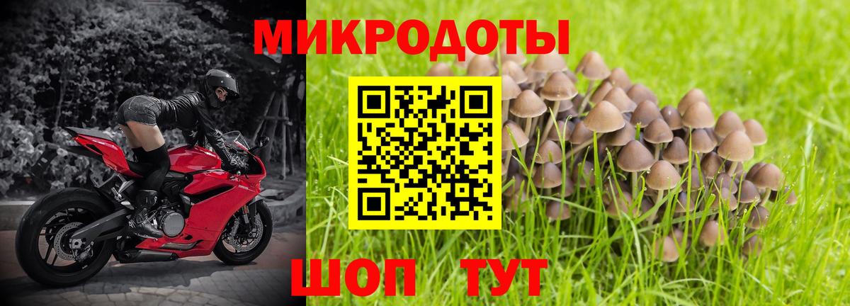 Псилоцибиновые грибы прущие грибы Казань