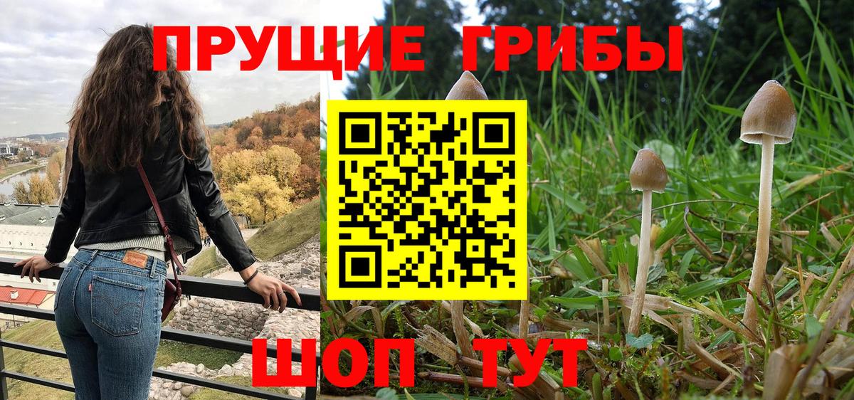 купить   Вход с VPN  Псилоцибиновые грибы Cubensis  Казань  Галлюциногенные грибы Magic Shrooms 